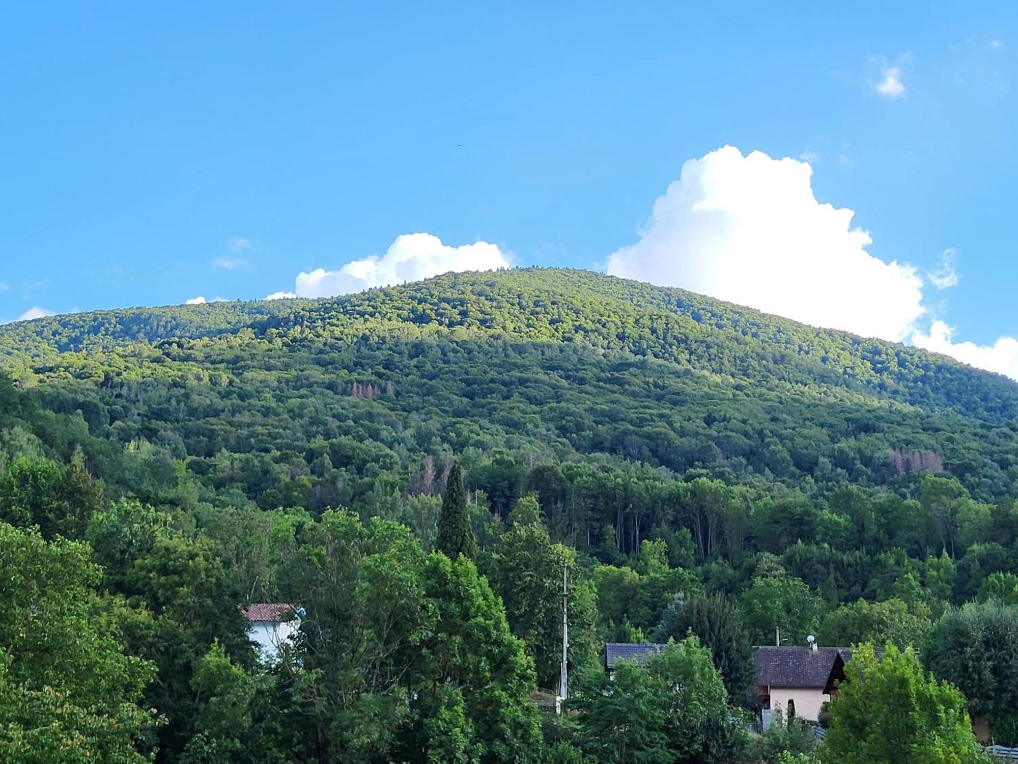 Reposant Et Depaysant
